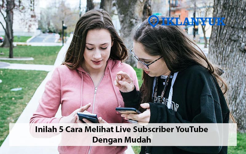 cara melihat live subscriber youtube