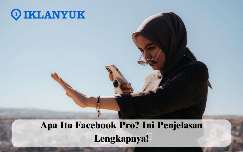 apa itu Facebook Pro