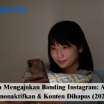 cara mengajukan banding instagram